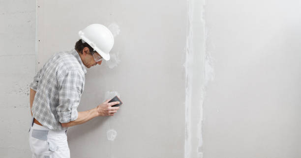 Best Black Mold Removal  in Fayette, IA