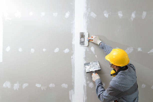 Best HVAC Mold Inspection and Cleaning  in Fayette, IA