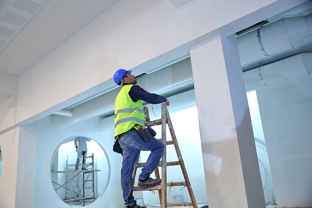 Best Forensic Mold Investigation  in Fayette, IA